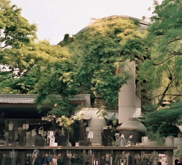 五华区餐饮业创新引擎，推动未来发展的新动力